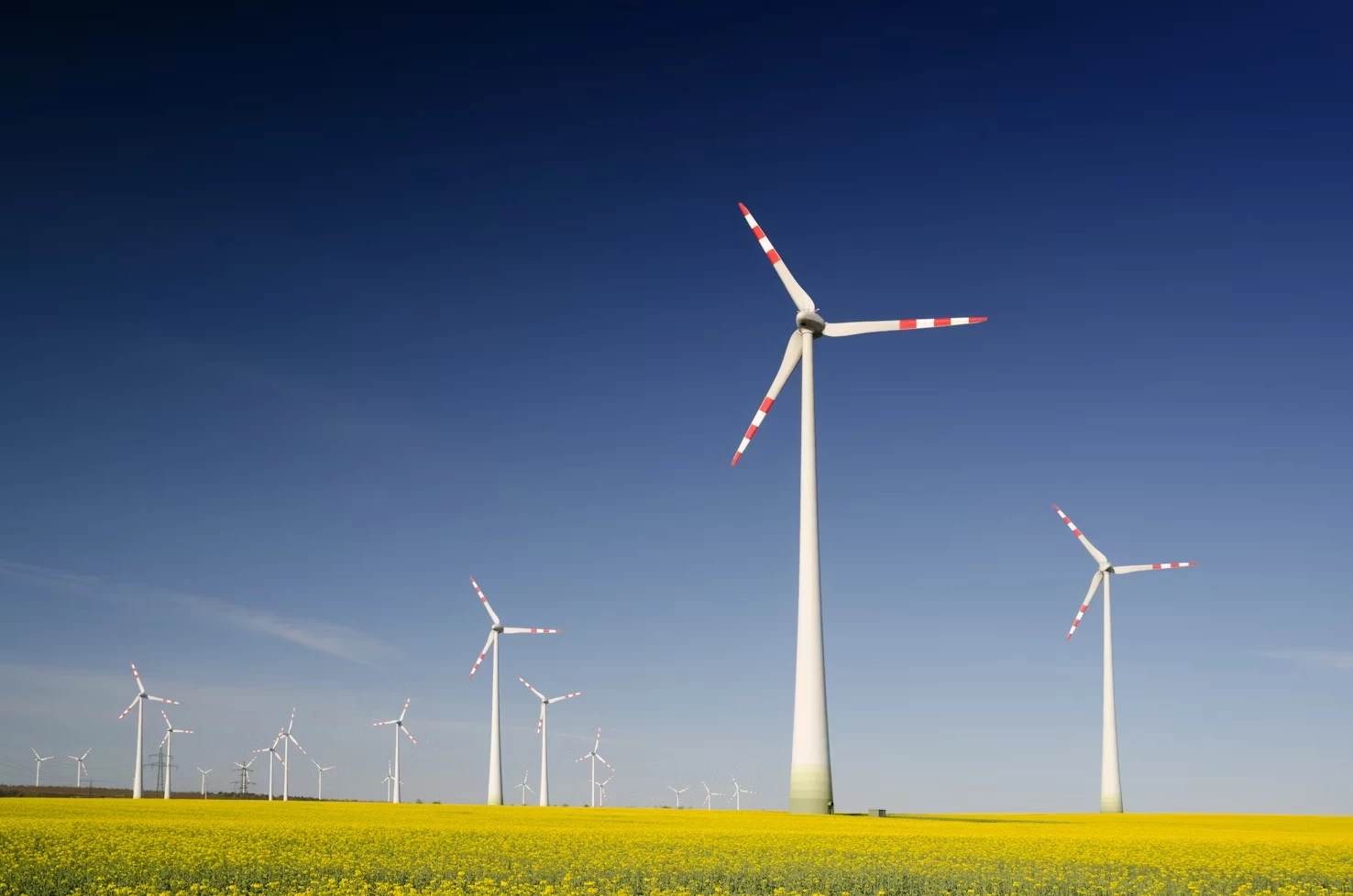 Sustainability